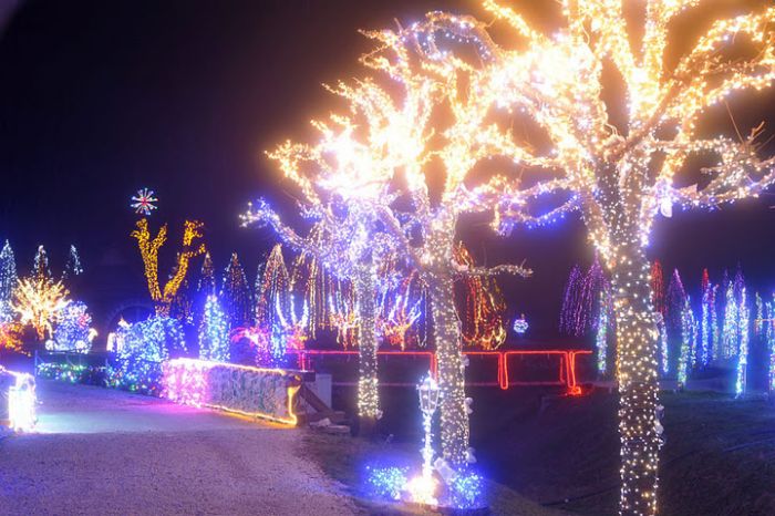 Christmas decoration with 1.2 million lights by Zlatko Salaj, Grabovinca, Croatia