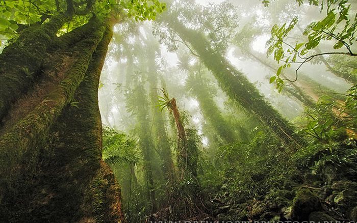 Photos of Australia