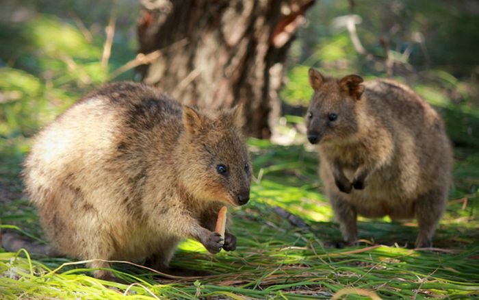 Photos of Australia