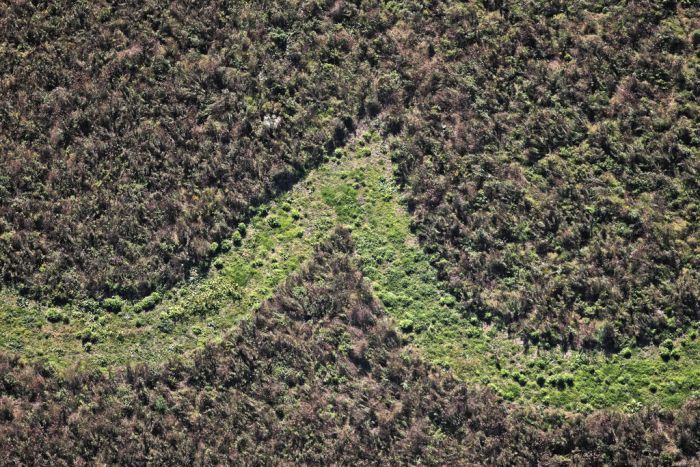 bird's-eye view aerial landscape photography