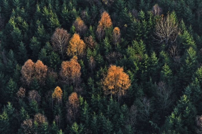 bird's-eye view aerial landscape photography