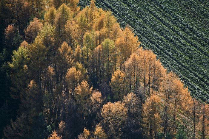 bird's-eye view aerial landscape photography