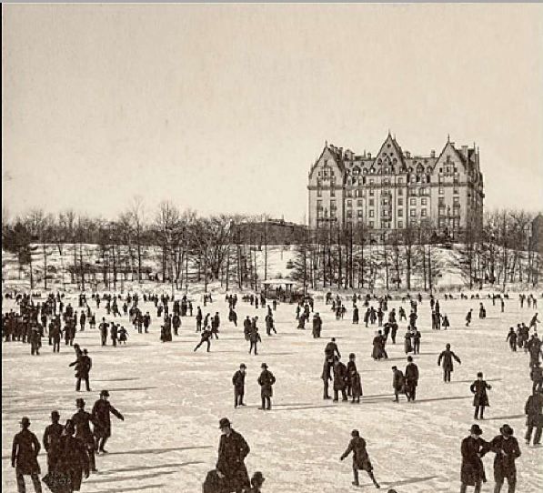 History: New York: Portrait Of A City by Reuel Golden, 1850-2009