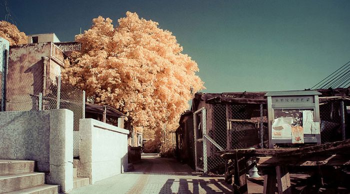 Infrared photography, Hong Kong, China