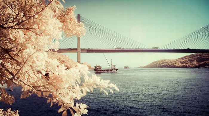 Infrared photography, Hong Kong, China