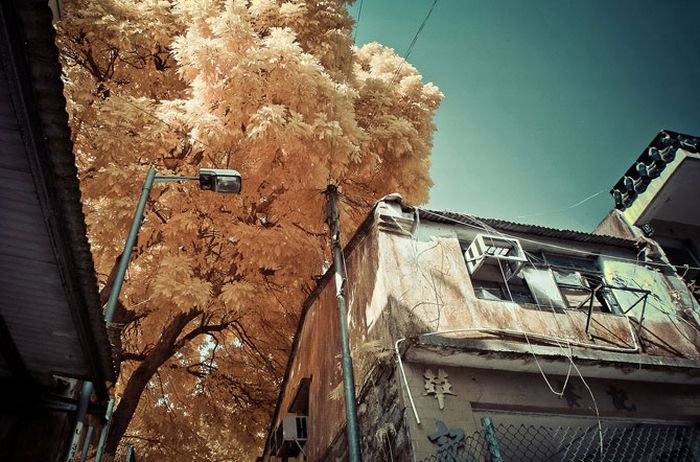 Infrared photography, Hong Kong, China