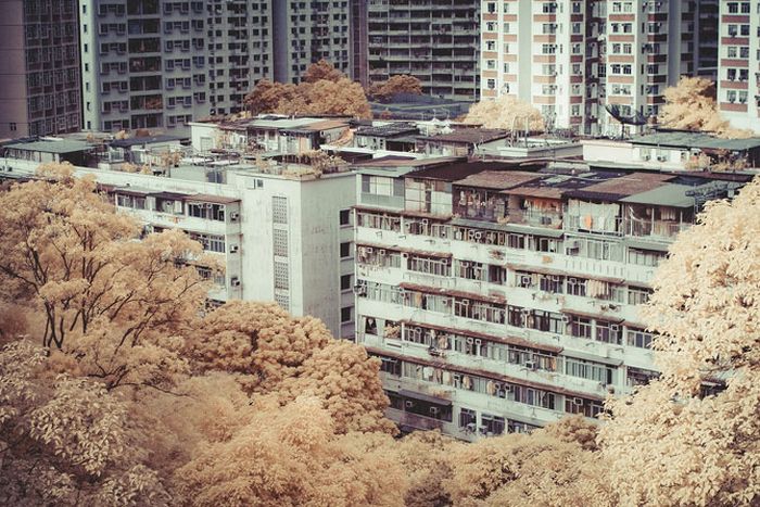 Infrared photography, Hong Kong, China