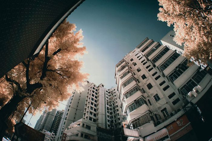 Infrared photography, Hong Kong, China