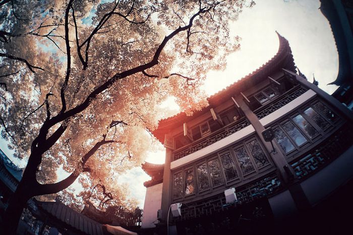 Infrared photography, Hong Kong, China