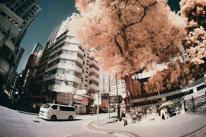 Infrared photography, Hong Kong, China