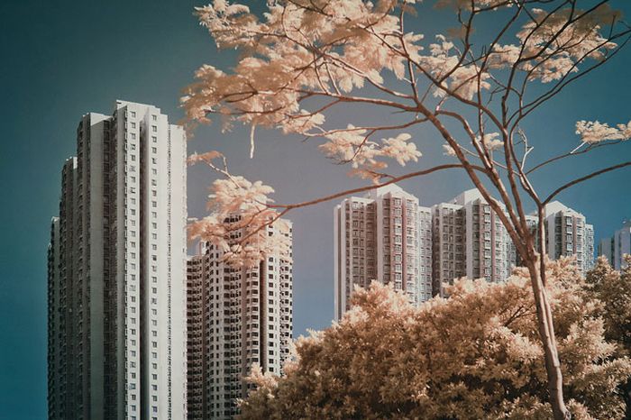 Infrared photography, Hong Kong, China