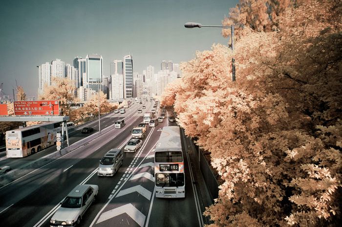 Infrared photography, Hong Kong, China