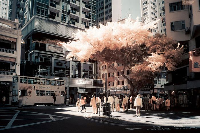 Infrared photography, Hong Kong, China