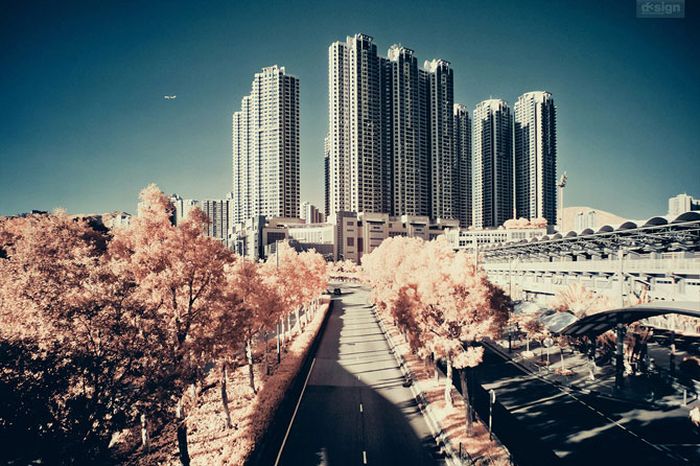 Infrared photography, Hong Kong, China