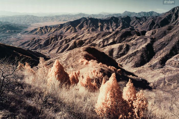 Infrared photography, Hong Kong, China