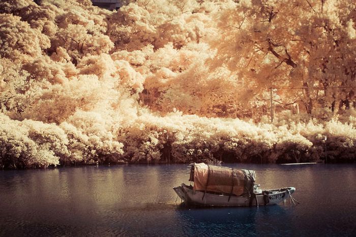 Infrared photography, Hong Kong, China