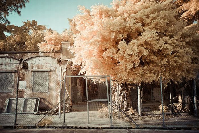 Infrared photography, Hong Kong, China