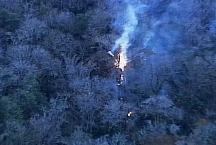 The Senator tree destroyed by fire and collapsed, Big Tree Park, Longwood, Florida, United States