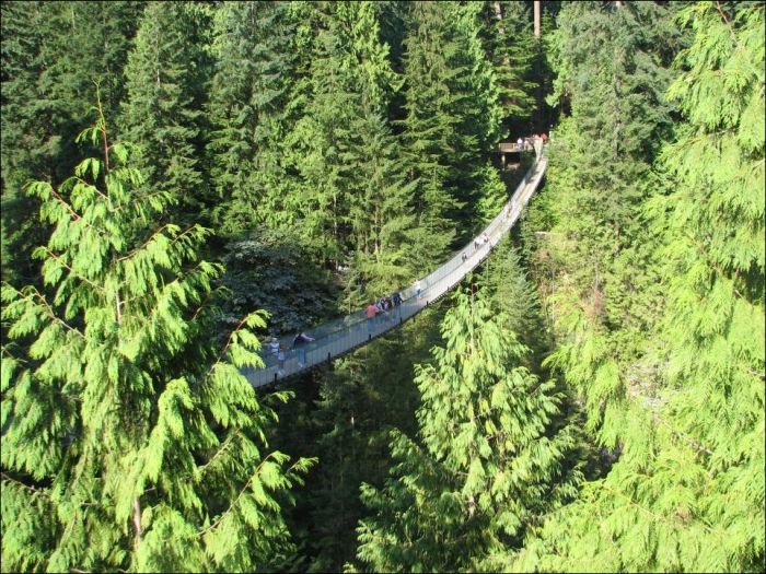 Capilano Suspension Bridge, British Columbia, Canada