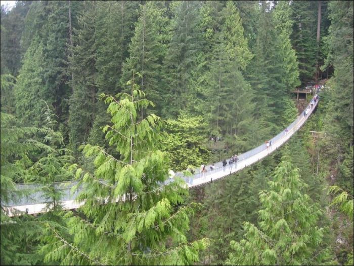 Capilano Suspension Bridge, British Columbia, Canada