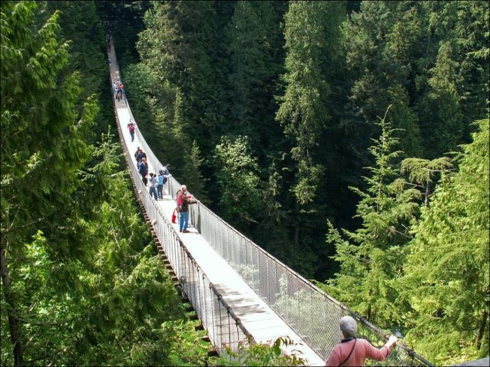 Capilano Suspension Bridge, British Columbia, Canada