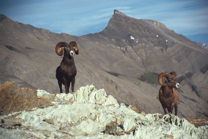 Alaska, United States by Ray Bulson