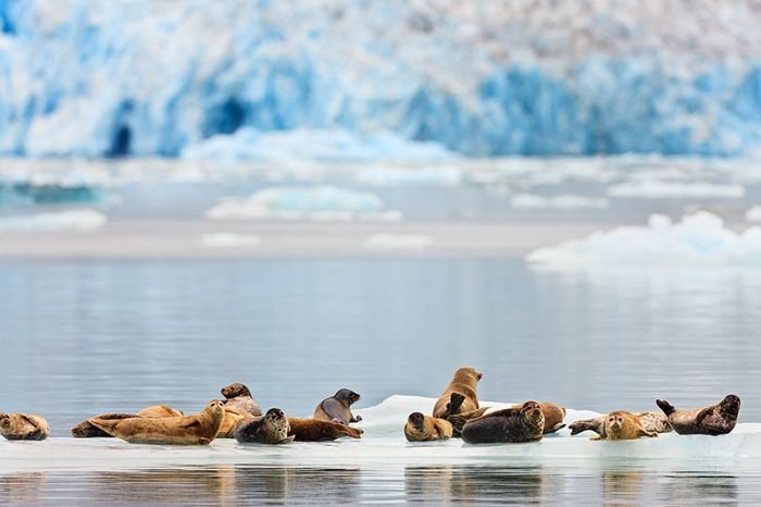 Alaska, United States by Ray Bulson