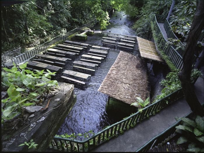 Villa Escudero Plantations, Labasin waterfalls, San Pablo, Laguna & Quezon province, Philippines