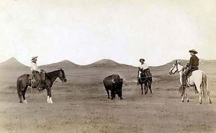 History: American Old West, United States