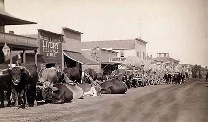 History: American Old West, United States