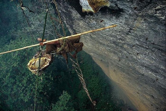 Honey hunters of Nepal by Diane Summers and Eric Valli