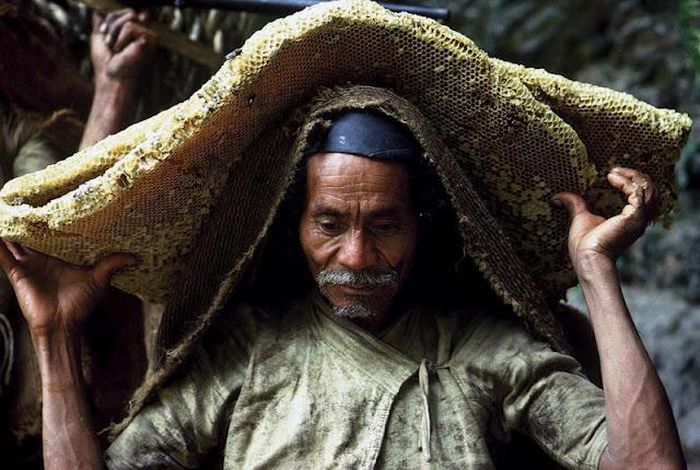 Honey hunters of Nepal by Diane Summers and Eric Valli