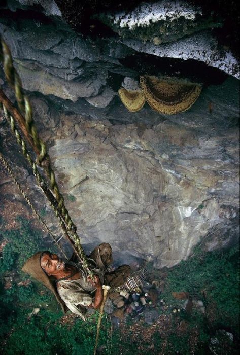 Honey hunters of Nepal by Diane Summers and Eric Valli