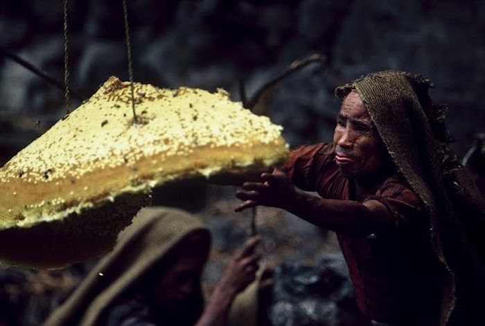 Honey hunters of Nepal by Diane Summers and Eric Valli
