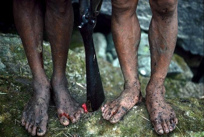 Honey hunters of Nepal by Diane Summers and Eric Valli