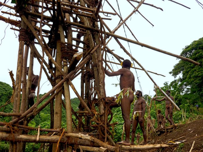 Land diving ritual, Pentecost Island, Vanuatu