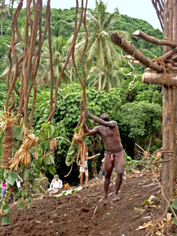 Land diving ritual, Pentecost Island, Vanuatu