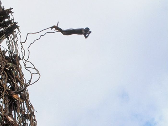 Land diving ritual, Pentecost Island, Vanuatu