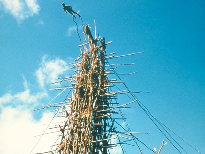 Land diving ritual, Pentecost Island, Vanuatu