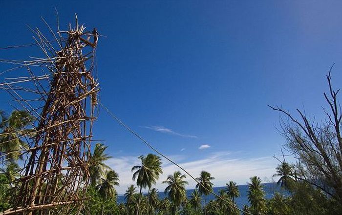 Land diving ritual, Pentecost Island, Vanuatu