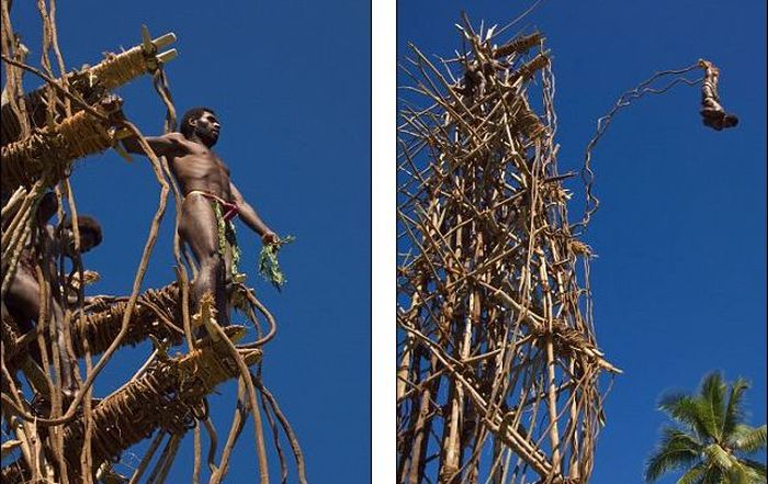 Land diving ritual, Pentecost Island, Vanuatu