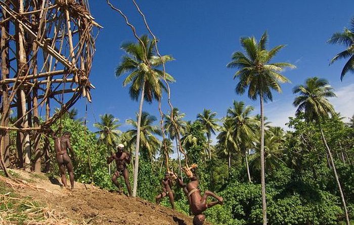 Land diving ritual, Pentecost Island, Vanuatu