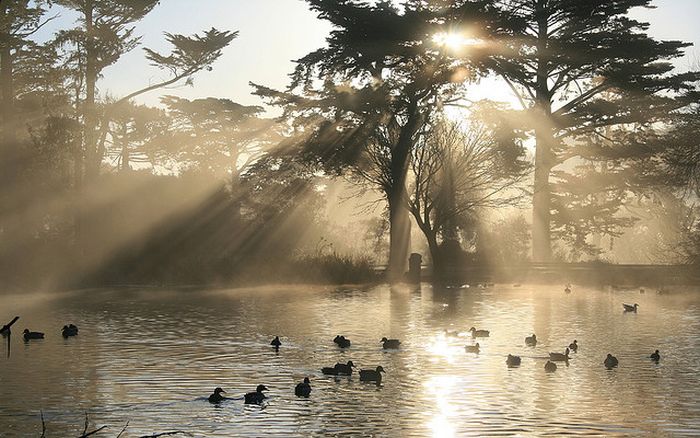 sunlight rays landscape photography