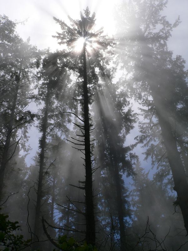 sunlight rays landscape photography