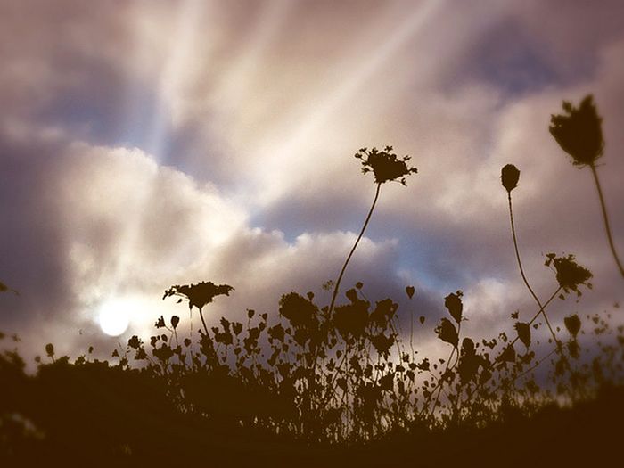 sunlight rays landscape photography