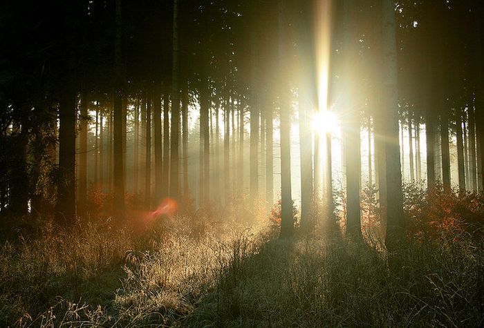 sunlight rays landscape photography