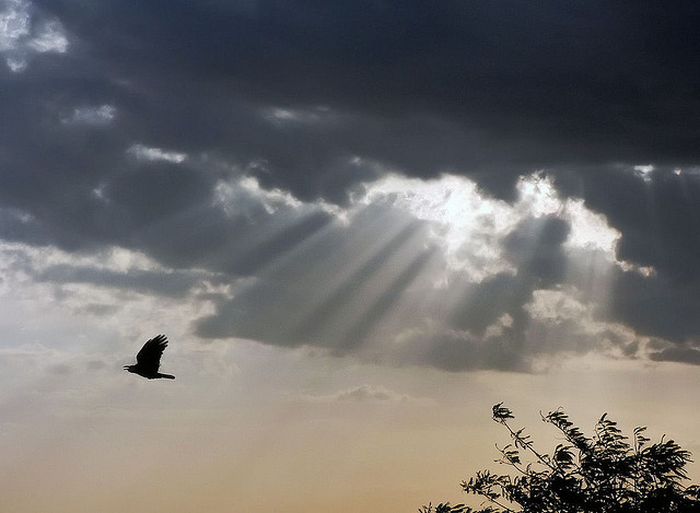 sunlight rays landscape photography