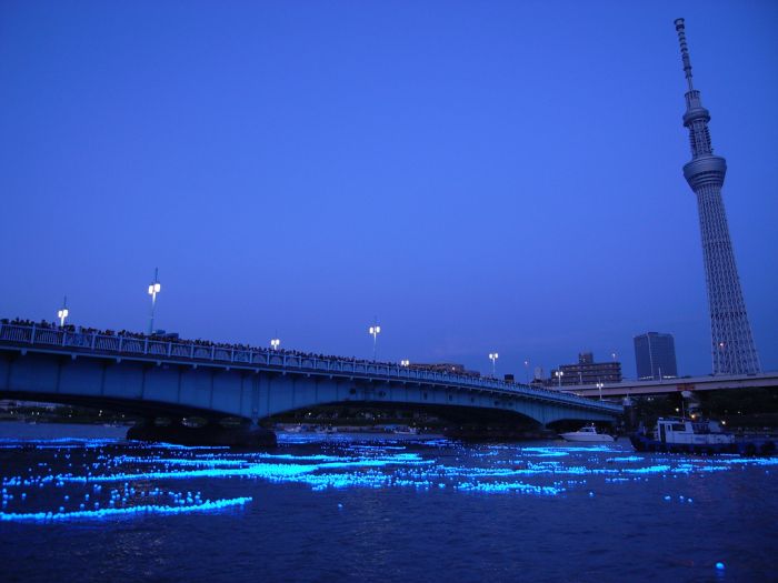 River of light with electronic LED fireflies, Sumida river, Tokyo