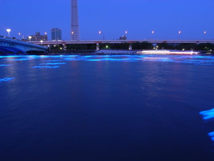 River of light with electronic LED fireflies, Sumida river, Tokyo