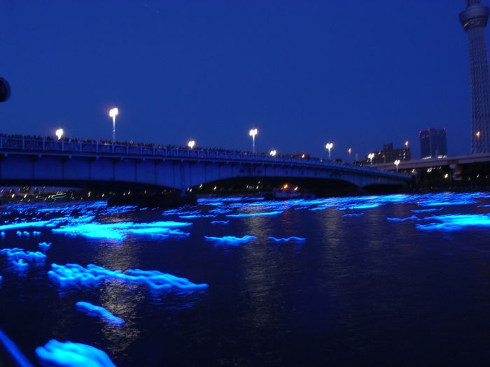 River of light with electronic LED fireflies, Sumida river, Tokyo